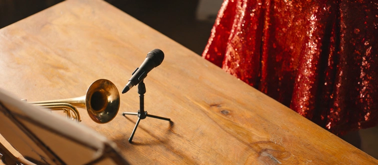 What Type of Singer Would You Be?